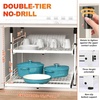 Hisencn Expandable 2-Tier Pull Out Cabinet Organizer, 123456789